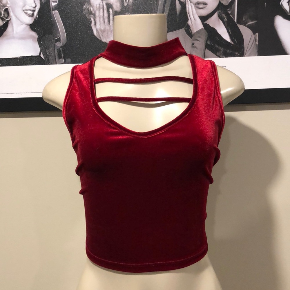 Charlotte Russe. Crop top
